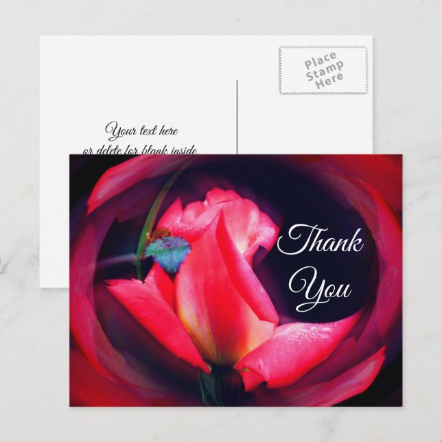 Carte postale de remerciement avec motif floral ab (Devant / Derrière)