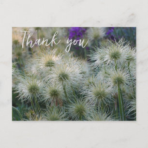 Carte postale de remerciement avec tête de graine 
