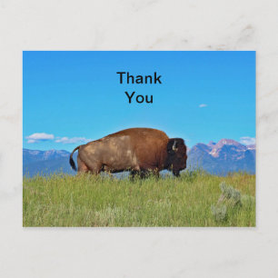 Carte postale de remerciement de Buffalo