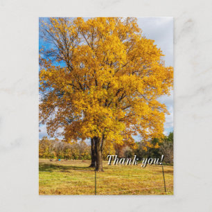 Carte postale de remerciement Érable à sucre jaune