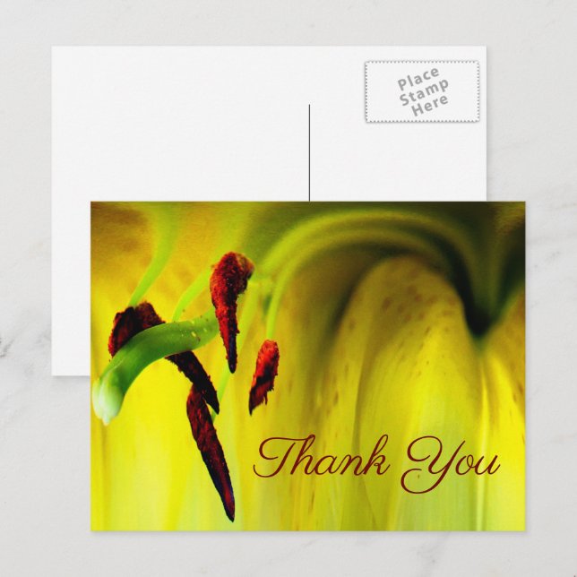 Carte postale de remerciement fleur abstraite Lily (Devant / Derrière)