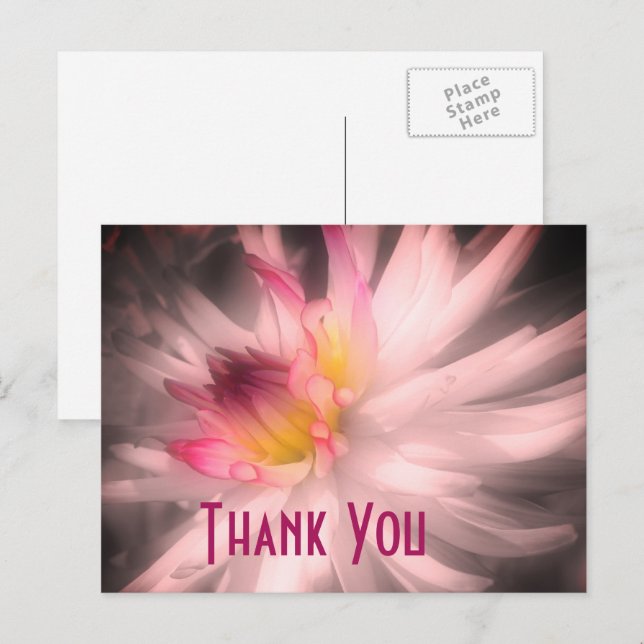Carte postale de remerciement Fleur de dahlia noir (Devant / Derrière)