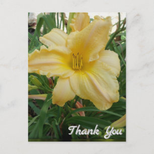 Carte postale de remerciement Fleur de Lys Jaune