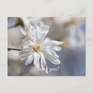 Carte postale de remerciement Fleur de Magnolia Ét