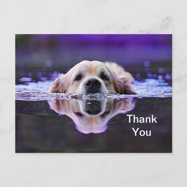 Carte postale de remerciement Golden Retriever (Devant)