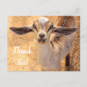 Carte postale de remerciement pour une chèvre mign