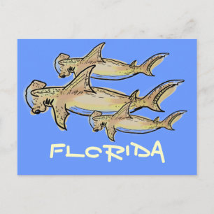 Carte postale de requins marteaux de Floride