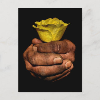 Carte postale de résistance douce