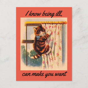 Carte postale de rétablissement pour chaton