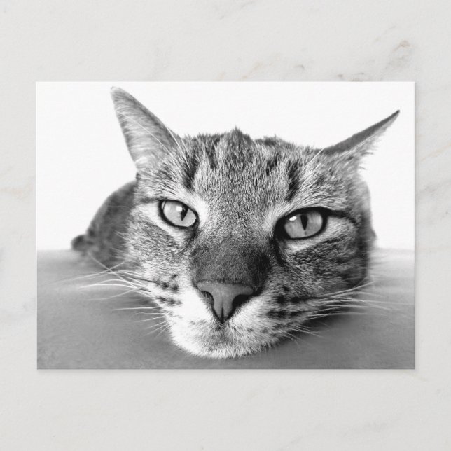 Carte postale de retrait (Devant)