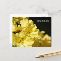 Carte postale de Rhododendron jaune