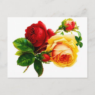 Carte postale de roses rouges et jaunes vintage
