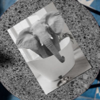 Carte postale de salle de bain éléphant baignoire