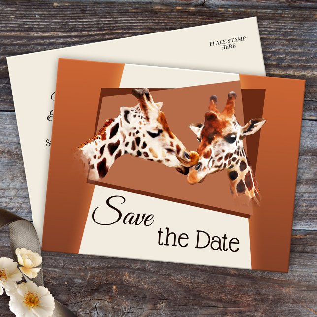 Carte postale de sauvegarde de date de safari de g (Cute and romantic zoo or safari Save the Date postcard with a painting of giraffes in love)