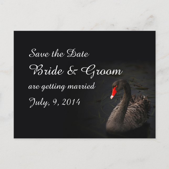 Carte postale de sauvegarde de la date Black Swan (Devant)