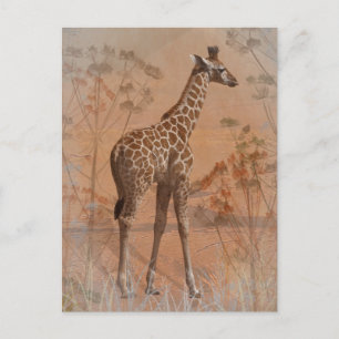 Carte postale de Savannah