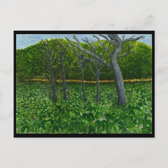 Carte postale de sérénité de montagne (Devant)