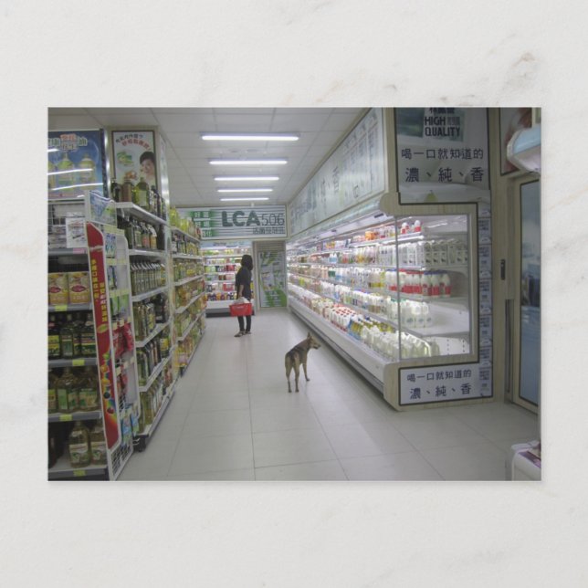 Carte postale de shopping de chien (Devant)