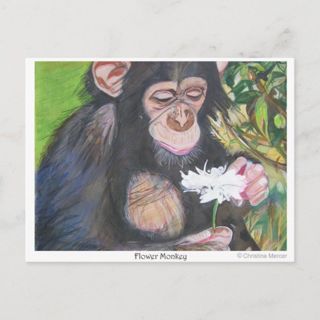 Carte postale de singe-fleur (Devant)