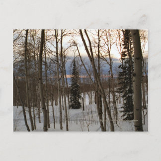 Carte postale de soirée d'hiver