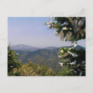 Carte postale de St Mary's Trône Troodos Mountains