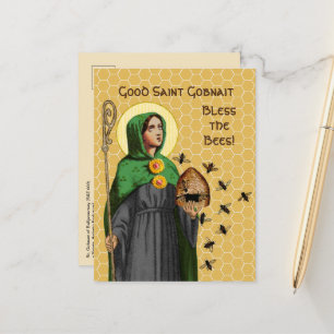 Carte postale de Ste Gobnait de Ballyvourney (SAE 