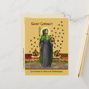 Carte postale de Ste Gobnait de Ballyvourney (SAE 
