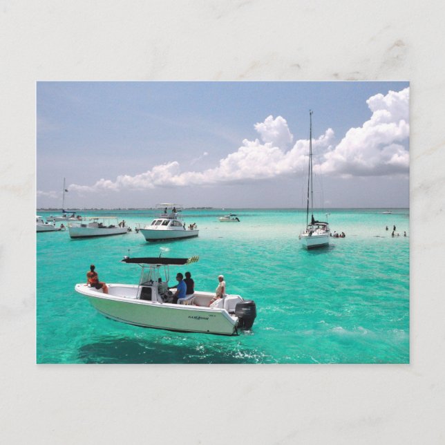Carte postale de Stingray City Grand Cayman Island (Devant)