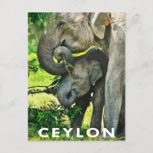 Carte postale de style rétro Éléphants d'Asie 