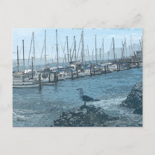 Carte postale de surveillance Seagull