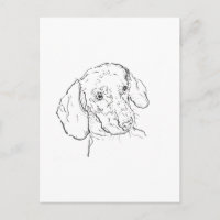 Carte postale de teckel – Illustration de chien sa