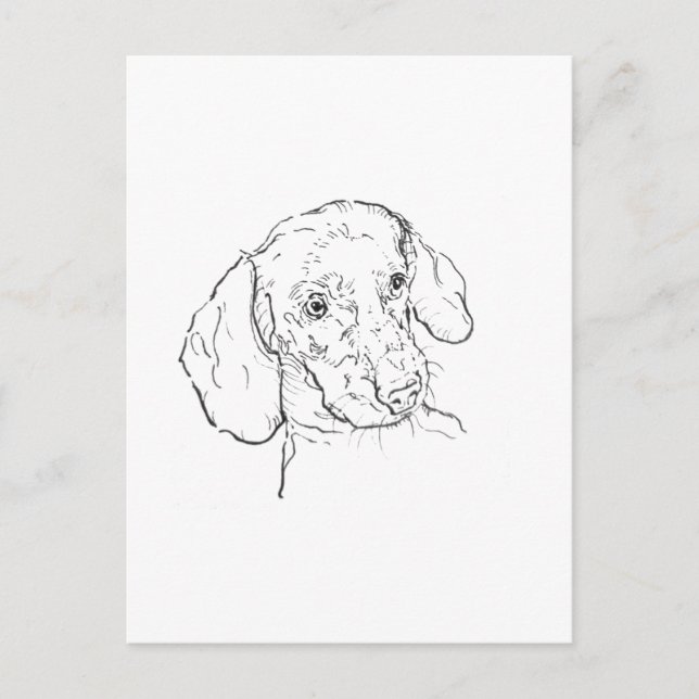 Carte postale de teckel – Illustration de chien sa (Devant)