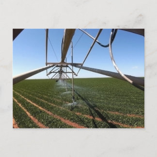 Carte postale de terres cultivables