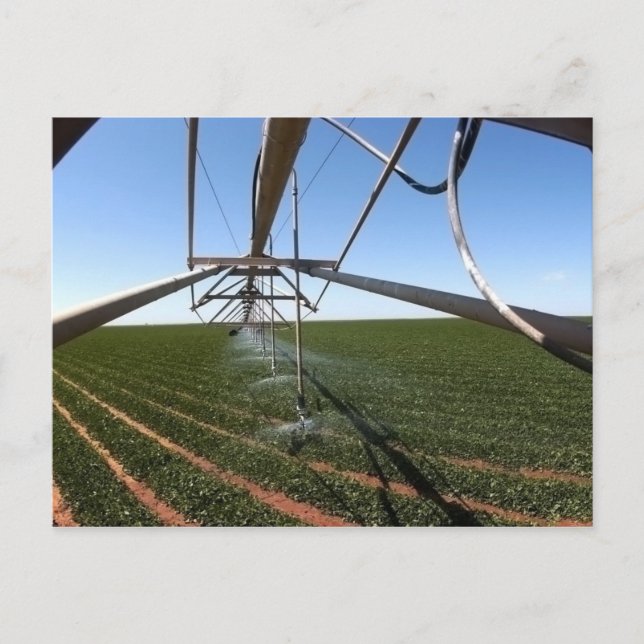 Carte postale de terres cultivables (Devant)