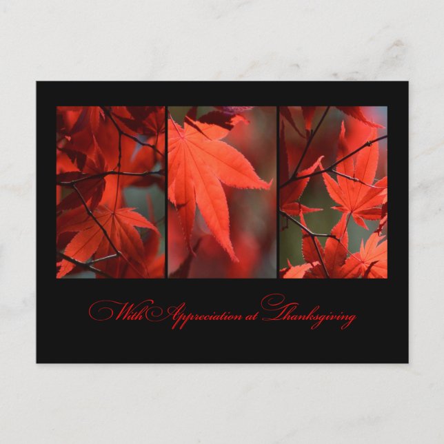 Carte postale de Thanksgiving (Devant)