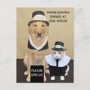 Carte postale de Thanksgiving/Invitation