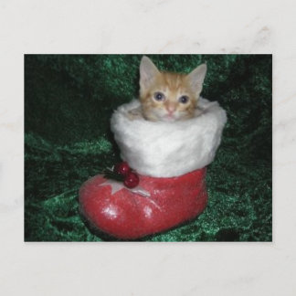 Carte postale de Timon