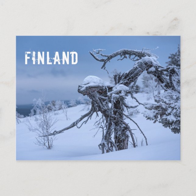 Carte postale de touriste de la Finlande (Devant)
