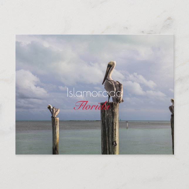 Carte postale de vacances d'Islamorada, Floride (Devant)