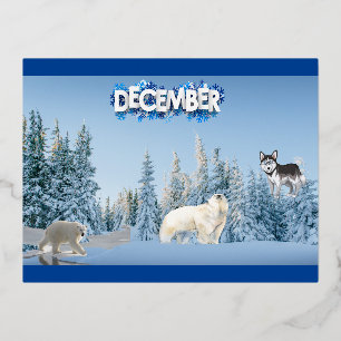 Carte Postale De Vacances En Aluminium Décembre