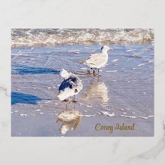 Carte Postale De Vacances En Aluminium Mouettes de l'île Coney