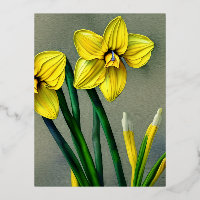 Narcisse Graphic