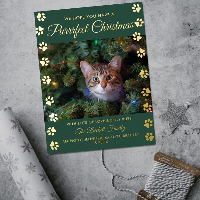 Carte Postale De Vacances En Aluminium Noël parfait | Cat Photo Real (Créateur téléchargé)