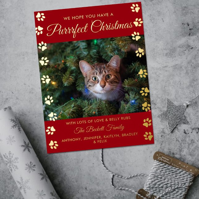Carte Postale De Vacances En Aluminium Noël Purrrfect | Photo Réel de Chat (Créateur téléchargé)