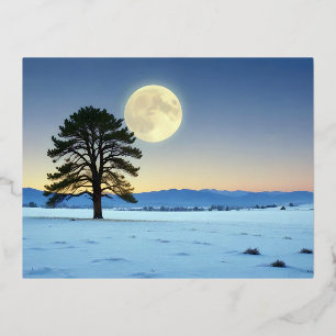 Carte Postale De Vacances En Aluminium Paysage pittoresque Lune d'hiver Nature Tranquille