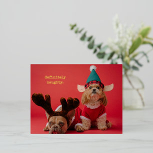 Carte Postale De Vacances En Aluminium Vraiment Naughty Pet Photo Mignonne Noël