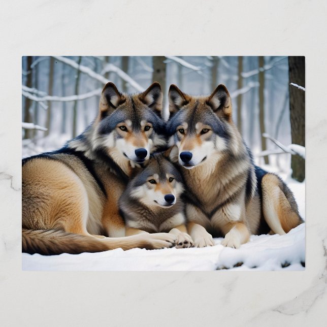 Carte Postale De Vacances En Aluminium Wolf Animal Nature Faune Affection Soin (Recto)