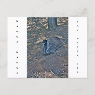 Carte postale de vacances texture lisse