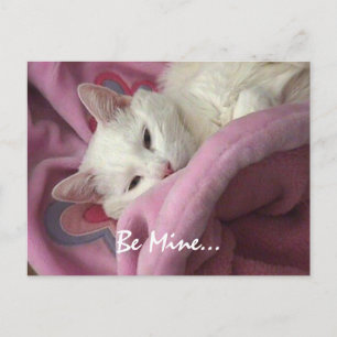 Carte postale de Valentine