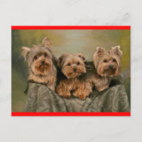 Carte postale de voeux de Chien-Chien-Chien-Coquel